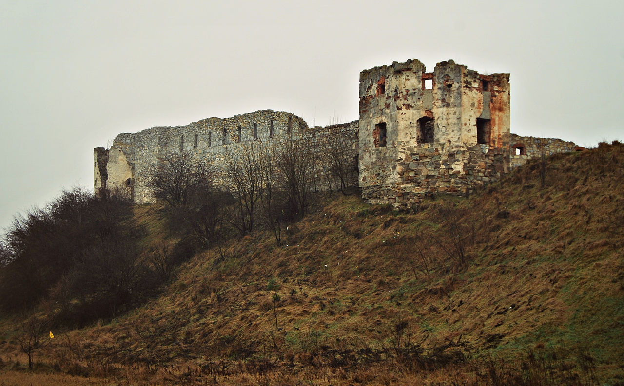 Пнівський замок