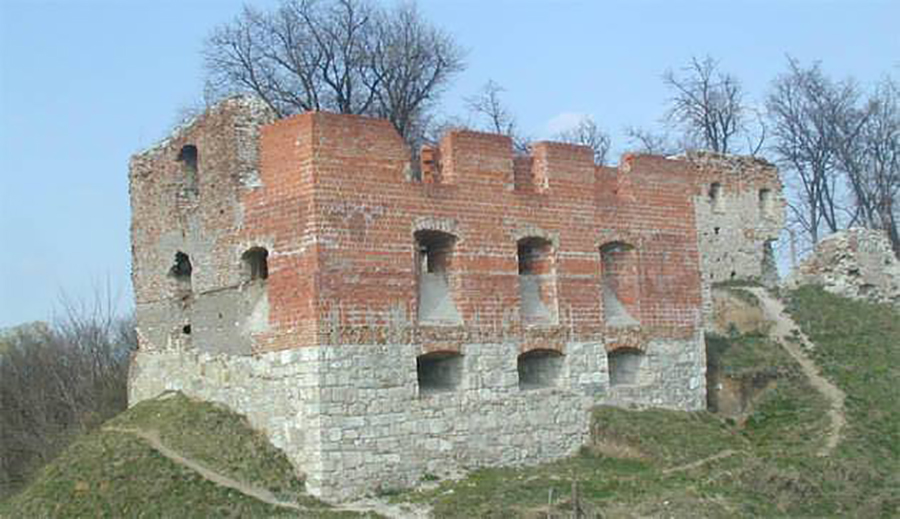 Старостинський замок, відбудова