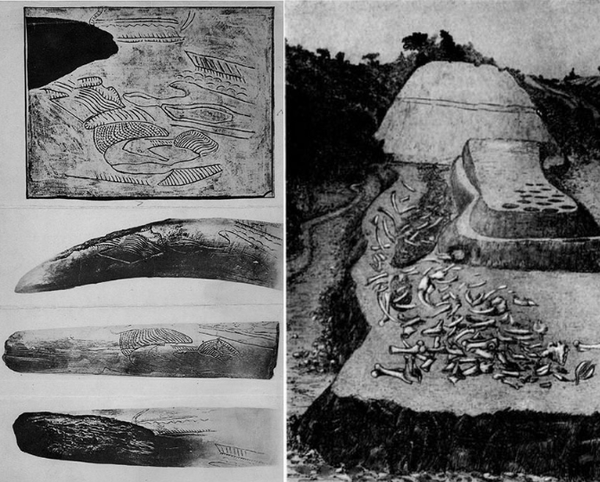 Українська археологія